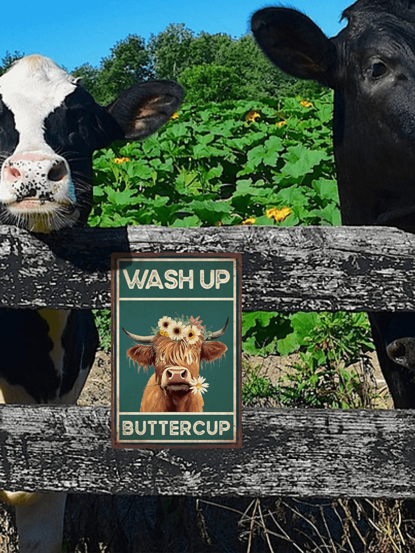 Cattle Cow Tin Sign,
