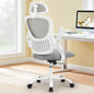 Mesh Ergonomic Desk Chair