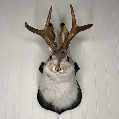 3D Antlers Rabbit Head Statue