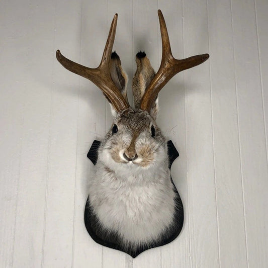 3D Antlers Rabbit Head Statue