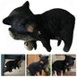 Bear Cub Tree Hugger Wall-Mounted