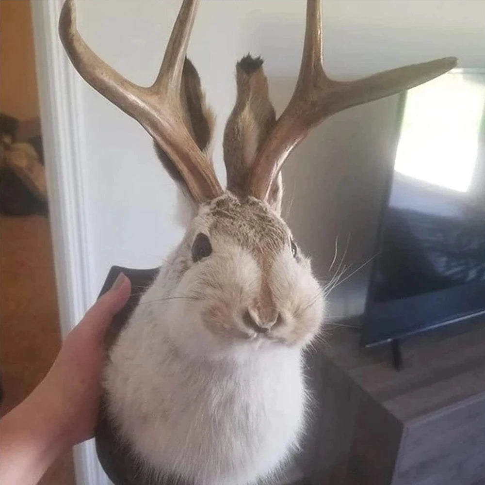3D Antlers Rabbit Head Statue